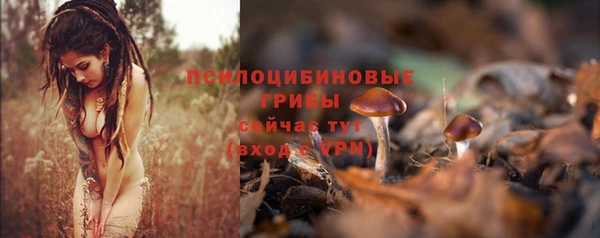 гидропоника Абаза