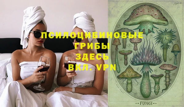 гидропоника Абаза