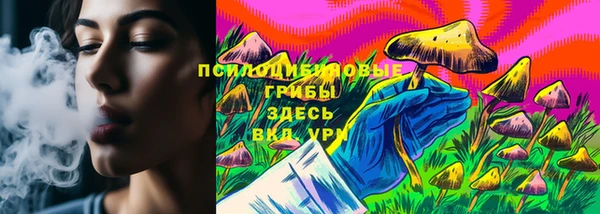 гидропоника Абаза