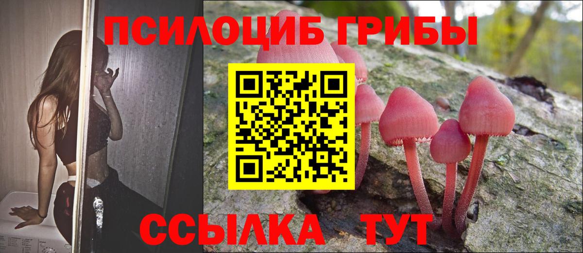 Псилоцибиновые грибы Cubensis Шарыпово